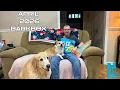 BARKBOX WENT BIG IN THIS APRIL 2026 UNBOXING