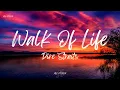 Dire Straits - Walk Of Life (Lyrics)