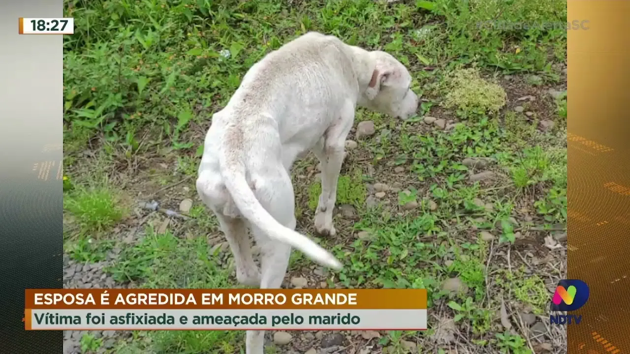 Polícia Civil atende ocorrência de violência contra mulher e prende jovem