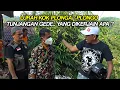 Download Lagu LURAH BINGUNG DITANYA KANG DEDI - SAMPAH NUMPUK DICUEKIN #dedimulyadi