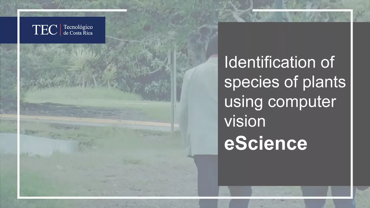 eScience - Identification of species of plants using computer vision
