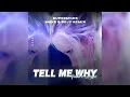 Download Lagu Supamode - Tell My Why (Mave \u0026 Pejt 2023 Remix) | #futurehouse #housemusic #remix #futurebounce #edm
