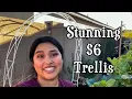 6 DIY Garden Trellis NO TRUCK NEEDED Cheap Easy Vertical Gardening