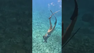 SPEAR lobster with ME🦞