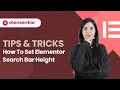 Elementor Search Widget Resize Search Bar Height Width No CSS