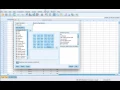 Creating a New Variable using SPSS