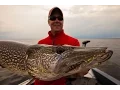 Super Bou Pike In Depth Outdoors TV Season 9 Episode 11