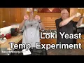Loki Yeast Temperature Experiment - Basic Brewing