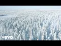 Novi Fosili - Nebeske Kočije