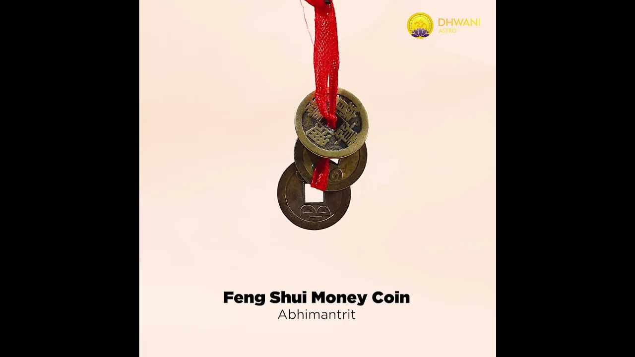 Feng shui Money Magnet coin