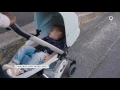 Quinny Meet the Zapp Flex Plus The deluxe way
