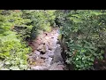 Saddle Trail brook