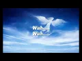 Download Lagu Westlife - Angle Wings (Lyrics)