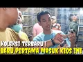 Download Lagu AKHIRNYA KIOS INI MENDATANGKAN BURUNG TERBARU YG SELAMA INI KOSONG DI PRAMUKA