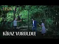 Cherry Shot Legacy Episode 60 English Spanish subs