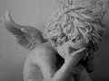 Alexi Murdoch - Slow revolution