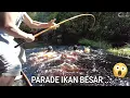 Download Lagu PECAH REKORR .. !!! .. IKANNYA KAYA GULING SEMUA ... 😂😂 ..