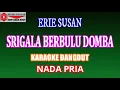 Download Lagu KARAOKE DANGDUT SRIGALA BERBULU DOMBA - ERIE SUSAN (COVER) NADA PRIA