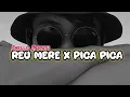 Lagu 🍑JOGET REU MERE X PICA PICA || Zhello Apetatu 