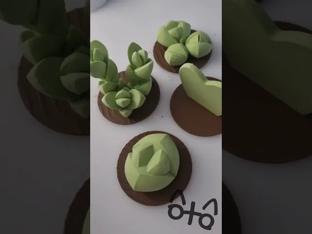 BotaniCat_Succulets_Box-Hoya Kerrii.stl video thumbnail