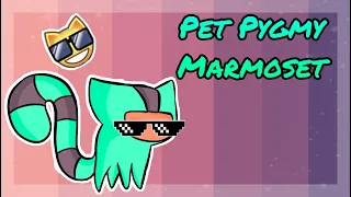 ACCURATE Pet Pygmy Marmoset WORTH GUIDE AJPW