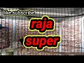 Download Lagu masteran kolibri raja gacor receh #konin