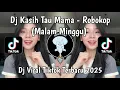 Lagu DJ KASIH TAU MAMA ( MALAM MINGGU ) - ROBOKOP BY FEBRIAN MAHESA FULL SONG VIRAL TIKTOK TERBARU