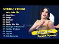 Download Lagu Shinta Gisul - STECU STECU - GERIGIS || DANGDUT TERPOPULER 2025