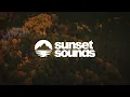 Robin Schulz, Lilly Wood and The Prick - Prayer In C | Lyrics