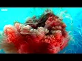 Travel to the Depths of Our Mysterious Oceans | 4K UHD | Blue Planet II | BBC Earth