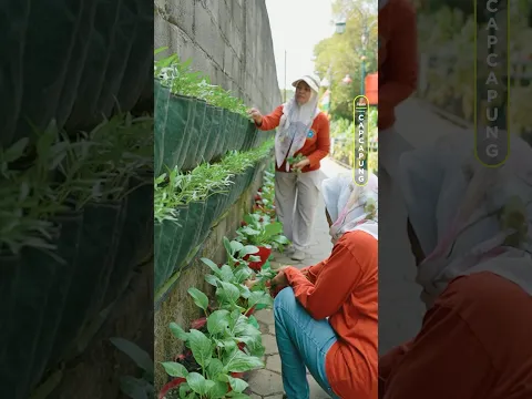 GANG SEMPIT JADI KEBUN