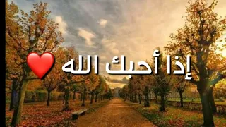 إذا أحبك الله وسيم يوسف مقاطع دينية قصيرة  إذا أحبك الله وسيم يوسف مقاطع دينية قصيرة