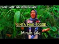 Download Lagu CINTA MAK TOGOK || LAGU LAMPUNG || VOC.MINAN JALAL