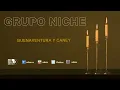 Buenaventura Y Caney, Querer Es Poder , Grupo Niche - Audio
