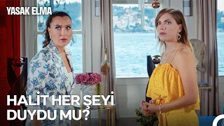 Yalı Vlogu #43: Kerim’i Severken Halit’le Nasıl Evleneceksin? - Yasak Elma