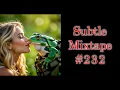 Download Lagu Subtle Mixtape 232 | A Heyoka Hieroglyphs Production