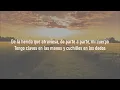Los Nocheros - Penas y alegrías del amor - Letra