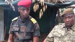 LIVE FROM MASISI 12 11 25 HERE ARE THE IMAGES OF THE NEUTRALIZED RWANDANS BRAVO WAZALENDO FARDC 