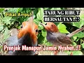Lagu Prenjak Jantan Betina Bersautan Ribut Ampuh bBuat Pikat