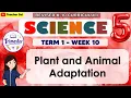 Science 5 Term 1 Week 10 - Plant and Animal Adaptation