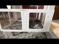 Clear paneled pet playpen - Watch them while they play Acrylic Dog Playpen Indoor for Small Dogs