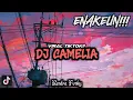 Lagu DJ VIRAL TIKTOK!! || Dj Camelia sudah jangan menangis lagi || Remix By :@rendrafvnky