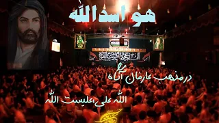 احسان لطفی شور من غیر علی خدا نمیپندارم شهادت حضرت زینب سلام الله علیها دیوانگان کاشان ۱۴۰۲ 