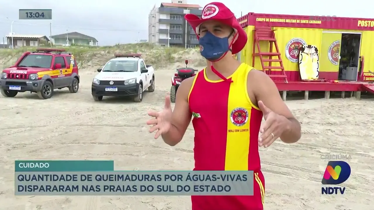Em sete dias, número de ocorrências envolvendo lesões por águas-vivas cresceu 348% no Sul do Estado