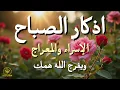 Lagu أذكار الصباح - راحة نفسية لا توصف بصوت القارئ علاء عقل | Morning Athkar - Dzikir Pagi by Alaa Aql