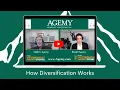 How Diversification Works
