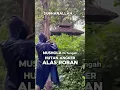 Lagu ANGKER❗MUSHOLA DI TENGAH HUTAN ALAS ROBAN⁉️