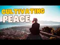 Parkside Church Online - Cultivating Peace