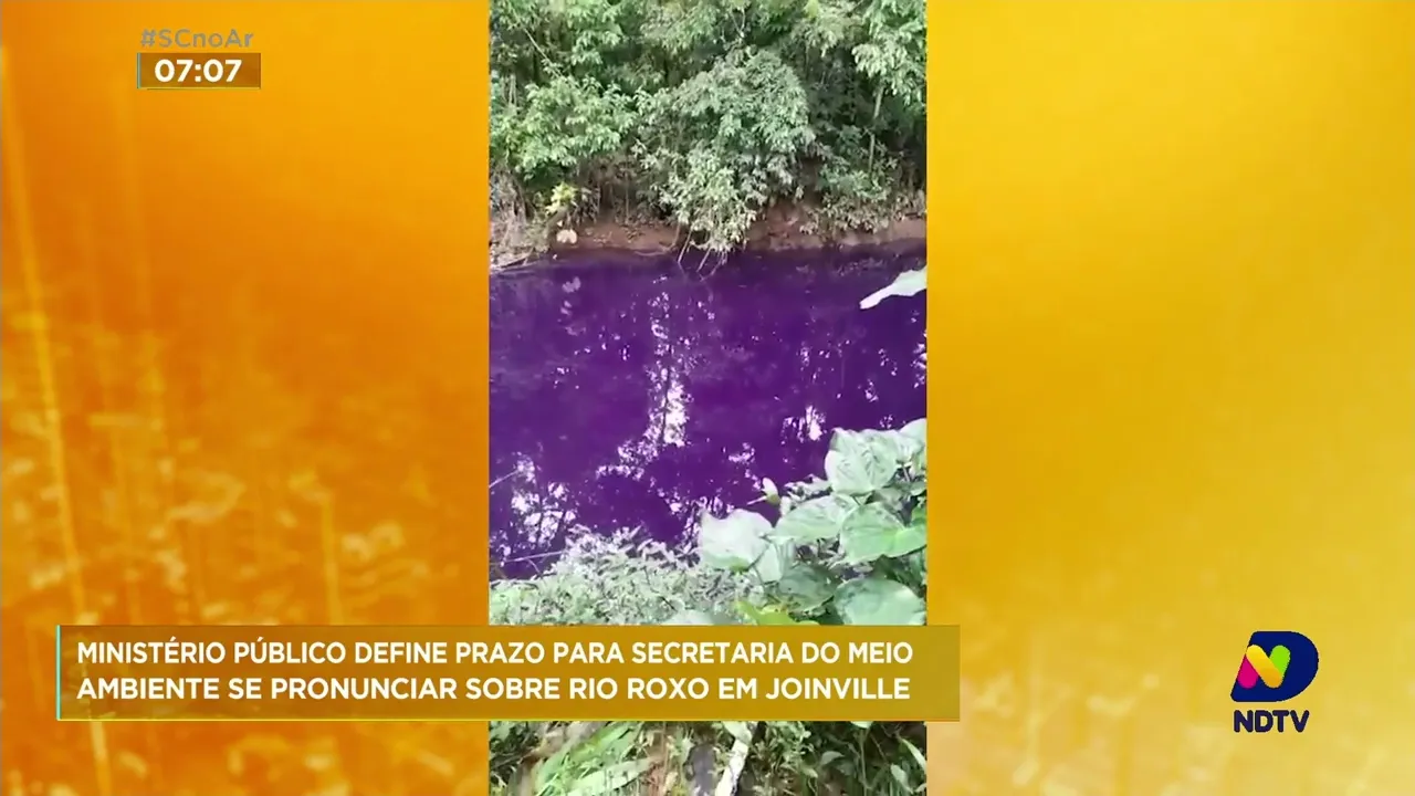 MPSC investiga caso da coloração roxa do rio do Braço, em Joinville