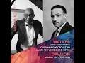 Negro Folk Symphony: II. Hope in the Night (Live)
